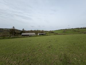 Paddock- click for photo gallery